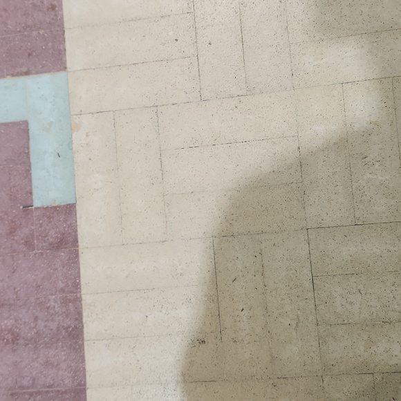 Meet your Posher, Simone - Picture 1 of 1